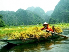 Quản lý và khai thác hiệu quả giá trị thương hiệu