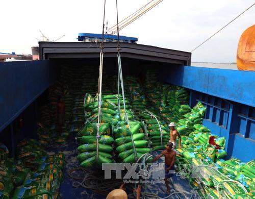 Thị trường gạo thế giới 2015 và dự báo - Phần 1